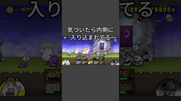 狂乱のもねこ攻略！