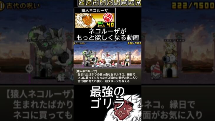 ネコルーザがもっと欲しくなる動画　#にゃんこ大戦争　#ショート