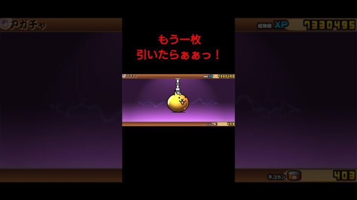 【にゃんこ大戦争】選抜祭！　 #にゃんこ大戦争