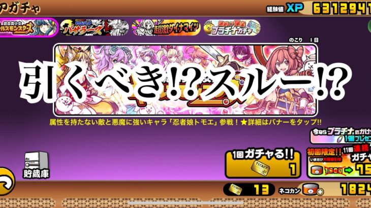 【にゃんこ大戦争】今来てるガチャ。ギャルモン、バサラーズ、超激ダイナマイツについて、考えてみた