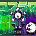味方キャラ「大狂乱のネコフラワー」【にゃんこ大戦争】