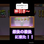 流石に喜んだ！にゃんこの会社わかってるね〜#にゃんこ大戦争 #ニャンコ #にゃんこ #神引き #伝説レア #天使と悪魔