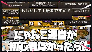 もしにゃんこ運営が初心者ぽかったら【にゃんこ大戦争】