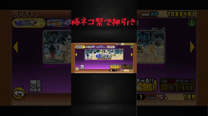 [極ネコ祭]〇〇難民卒業のお知らせ。#にゃんこ大戦争 #ガチャ#極ネコ祭