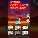 ほんとにお願いします　　　　　　　　#にゃんこ大戦争 #にゃんこ大戦争攻略 #にゃんこ大戦争初心者 #にゃんこ大戦争最強キャラクター #にゃんこ #ゲーム実況