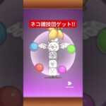 #にゃんこ大戦争 #初心者#ゲームネコ雑技団ゲット!!(強いのかわからない)