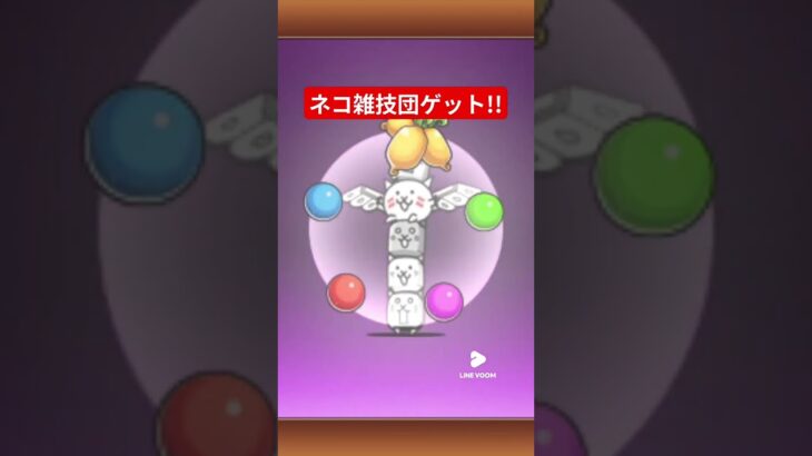 #にゃんこ大戦争 #初心者#ゲームネコ雑技団ゲット!!(強いのかわからない)