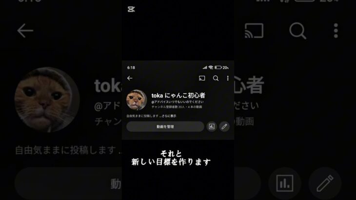 感謝しかないですほんとうに#にゃんこ大戦争 #にゃんこ