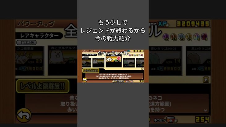 戦力紹介だよ！