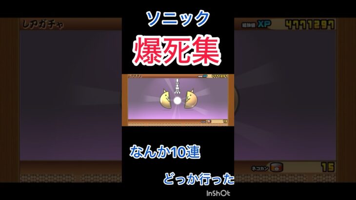 もう引けないよ😭　【にゃんこ大戦争】#にゃんこ大戦争