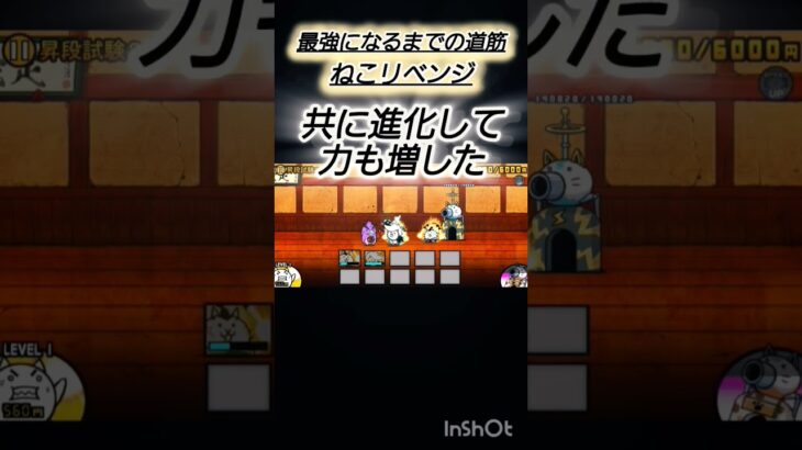 ねこボクサーの物語 #にゃんこ大戦争