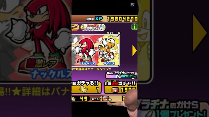 (にゃんこ大戦争)ガチャ禁してる人の毎日 #にゃんこ大戦争 #応援お願いします