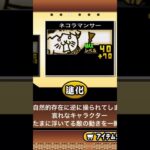 にゃんこ大戦争アカウント配布 #にゃんこ大戦争 #にゃんこ大戦争チート #にゃんこ大戦争猫缶