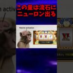 にゃんこ民なら絶対でる！はず…【にゃんこ大戦争】