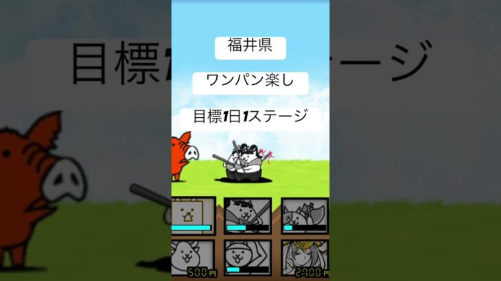 福井県#にゃんこ大戦争 #ゲーム #にゃんこ #ぶたさん #ごりら #ぺんぎん #ワンパン #福井県
