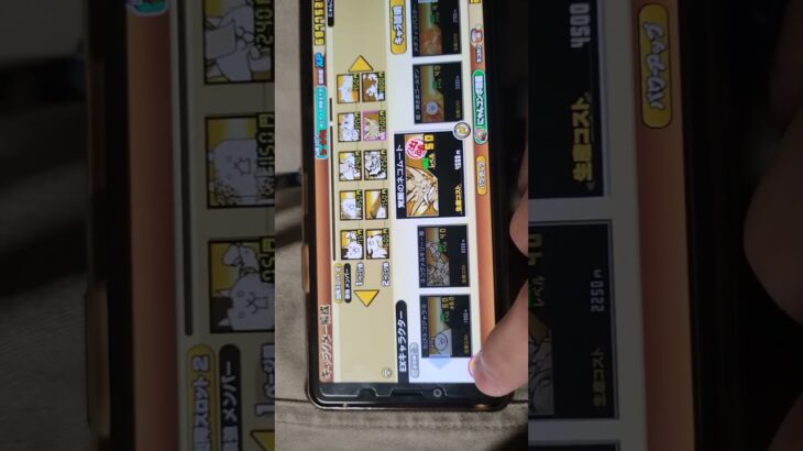 無課金です！これは強いのでしょうか？ #のびろ #すごい #ばずれ #人気になりたい #にゃんこ大戦争