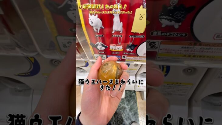 【にゃんこ大戦争ガチャver.5‼︎】リアルガチャ‼︎ クオリティー高くてすごい‼︎ #にゃんこ大戦争 #にゃんこ大戦争ガチャ #にゃんこ #猫 #shorts
