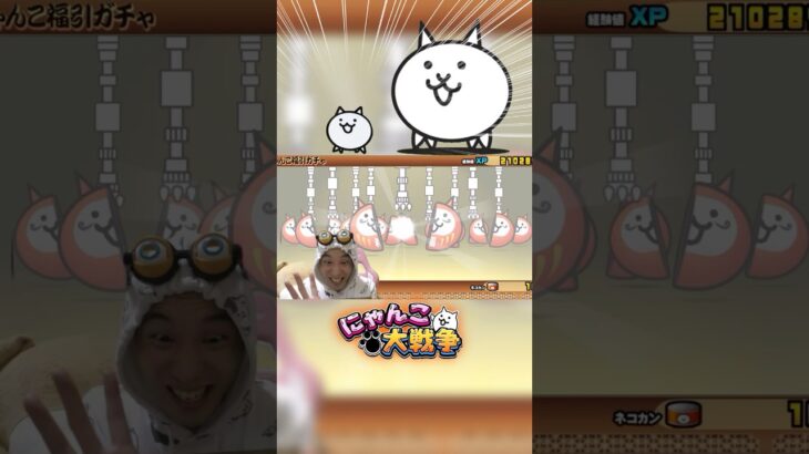 やっぱりちびネコが可愛すぎるwww#にゃんこ大戦争 #ゲーム実況 #リアクション #発狂 #ガチャ #gaming #ちび #猫 #ネコ #ねこ #さぁーこいチャンネル #shorts #かわいい