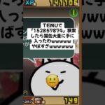 猫缶大量ゲットキャンペーンが熱いwww #youtubeshorts #にゃんこ大戦争 #配布あり #ytshorts #ゲーム #チャンネル登録お願いします #ショート #youtube