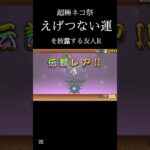 【にゃんこ大戦争】超極ネコ祭でえげつない引き運#にゃんこ大戦争 #超極ネコ祭 #伝説レア #ガチャ動画 #youtubeshorts