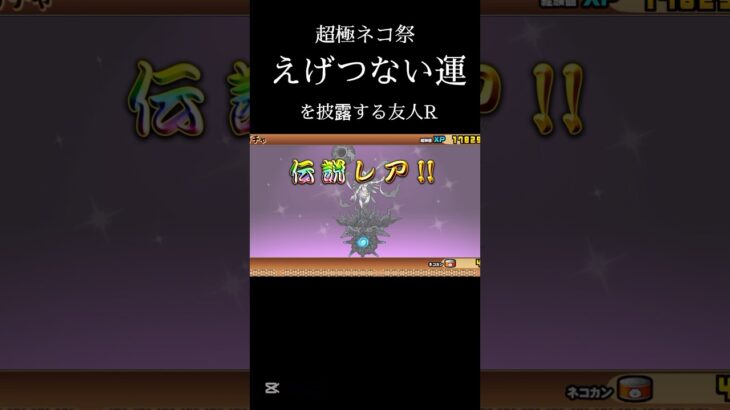 【にゃんこ大戦争】超極ネコ祭でえげつない引き運#にゃんこ大戦争 #超極ネコ祭 #伝説レア #ガチャ動画 #youtubeshorts
