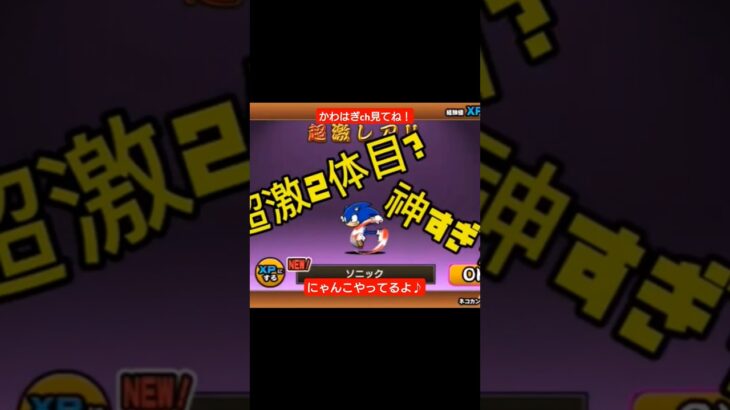 【にゃんこ大戦争】10連ガチャ＆レベ上げ！#にゃんこ#にゃんこ大戦争 #ガチャ#ソニック#テイルズ#無課金
