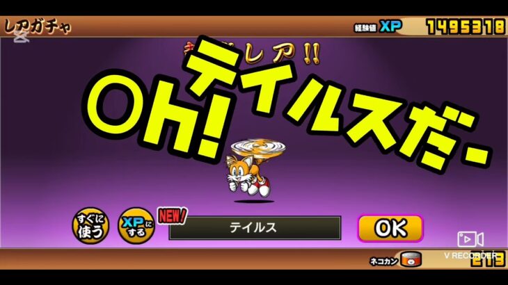 【にゃんこ大戦争】10連ガチャ＆レベ上げ！
