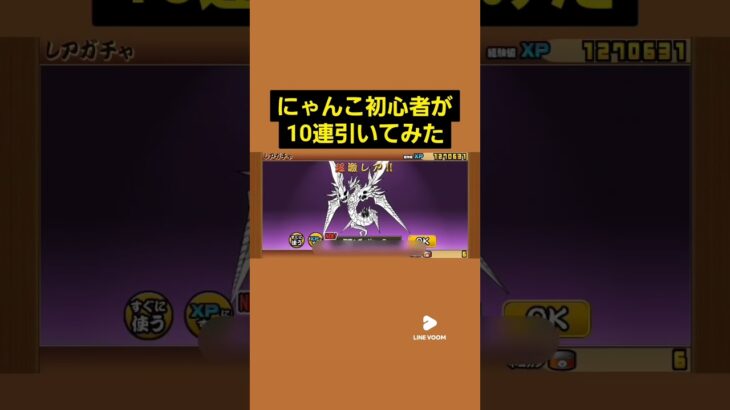 にゃんこ初心者が10連引いてみた#にゃんこ大戦争#ガチャ