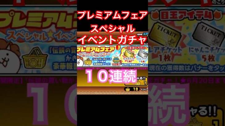 #にゃんこ大戦争 プレミアムフェア　スペシャル⭐︎イベントガチャ　10連続 thebattlecats