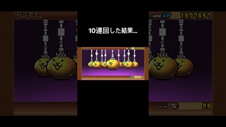 10連回した結果……#shorts #short#にゃんこ大戦争 #ガチャ