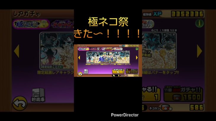 [にゃんこ大戦争]極ネコ祭10連回した結果､､､　#にゃんこ大戦争　#にゃんこ　#にゃんこガチャ　#きむいち　#shorts #short