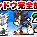 聖者ポプウ降臨　シャドウが強すぎる！無課金2キャラと完全放置攻略　聖おねえさん　にゃんこ大戦争