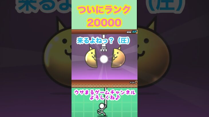 ランク20000まできた〜♪プラチケ頼むよ？#にゃんこ大戦争 #にゃんこ大戦争ガチャ