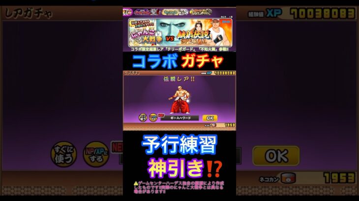 【にゃんこ大戦争×餓狼伝説コラボガチャ】予行練習で神引き3連発しておいた🤩#にゃんこ大戦争 #餓狼伝説 #ガチャハメ