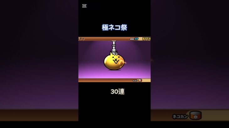 漢なら全ブッパだろ！！  極ネコ祭 30連 #にゃんこ大戦争 #にゃんこ大戦争ガチャ