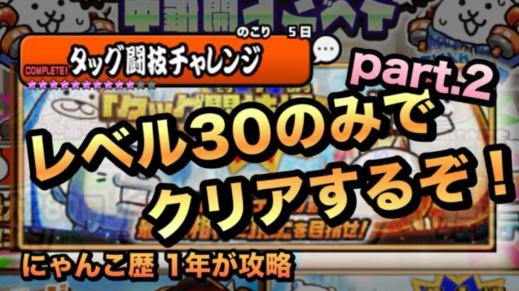 【タッグ闘技チャレンジ】あのキャラで全てを破壊せよ！？レベル30のみでクリアするぞ！Part.2［にゃんこ大戦争］