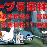 【にゃんこ大戦争】多湿樹海 エリア3無課金1枠&豪雨樹林 エリア11無課金2枠