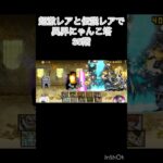 超激レアと伝説レアなら異界にゃんこ塔32階以外は攻略出来る説 35階 #にゃんこ大戦争 #shorts #異界にゃんこ塔 【にゃんこ大戦争】