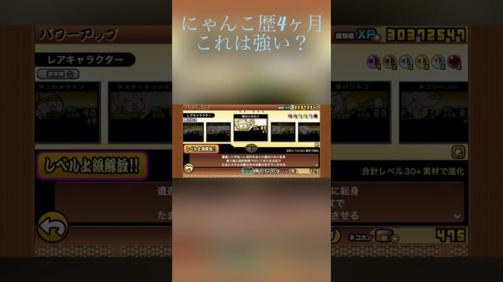 にゃんこ歴4ヶ月でこれは強いですか？#にゃんこ大戦争 #にゃんこ #にゃんこ大戦争初心者 #はじまりの曲 にゃんこ歴4ヶ月#sorts