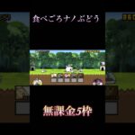 食べごろナノぶどう冠4無課金5枠#にゃんこ大戦争 #shorts #無課金