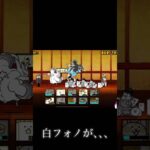 6段の2勝てそうやん！！ #にゃんこ大戦争 #にゃんこ #にゃんこ大戦争初心者 #にゃんこ大戦争攻略