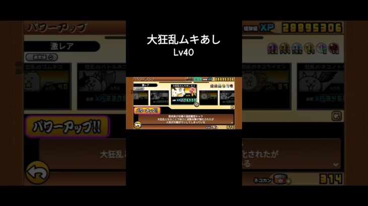 大狂乱ムキあしネコLv40　 #にゃんこ大戦争 #gameplay #ゲーム #ゲームプレイ
