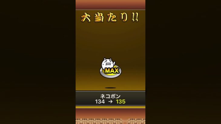 【にゃんこ大戦争】R7/6/15 プレミアムフェアスペシャルイベントガチャ10連