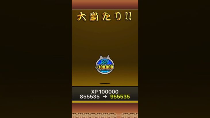 【にゃんこ大戦争】R7/6/20 プレミアムフェアスペシャルイベントガチャ8連