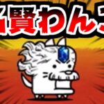 【にゃんこ大戦争】異空行路の先に 自由への上陸地 攻略！いつもの編成で挑んだらいつものじゃない名賢わんこ出てきた件【本垢実況Re#2153】