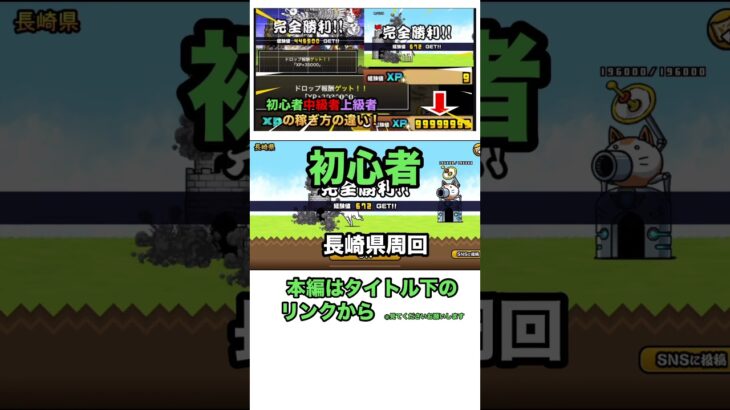 にゃんこ大戦争　初心者中級者上級者　XPの稼ぎ方の違い！ #にゃんこ12周年 #にゃんこ大戦争 #ゲーム #上級者 #ゲーム実況 #中級者 #初心者向け