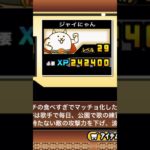 XPが、無い….#にゃんこ大戦争 #にゃんこ大戦争無課金