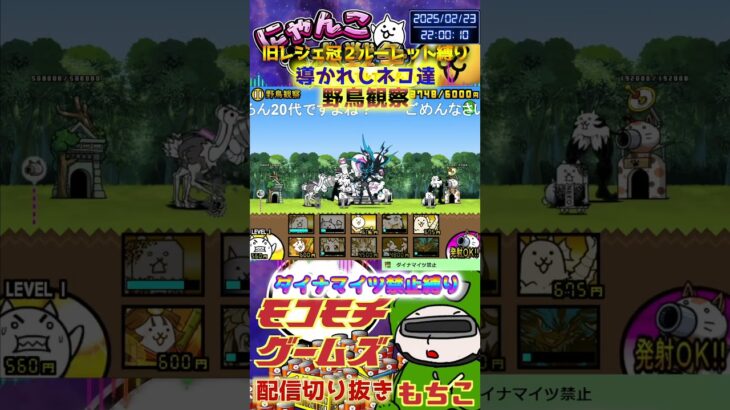 【にゃんこ大戦争】#４５７　旧レジェ冠２！ルーレット縛り！導かれしネコ達！野鳥観察攻略！！YouTube&TikTok同時配信してるよー【ソシャゲ配信】＃shorts #ルーレット縛り