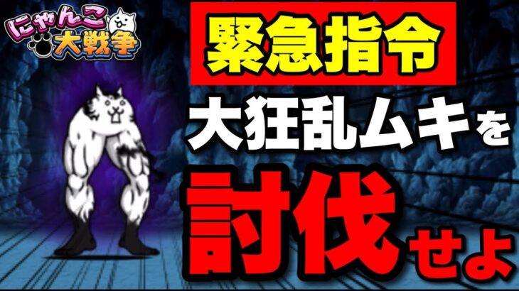 緊急司令！大狂乱のムキあしネコを討伐せよ！　#にゃんこ大戦争　#battlecats #サブ垢
