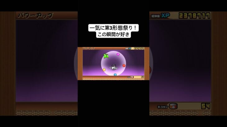 【にゃんこ大戦争】￤頑張ってマタタビ回収したおれ偉い👏￤#にゃんこ大戦争 #にゃんこ大戦争初心者 #初心者 #game #shorts #fyp